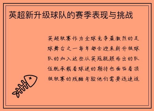 英超新升级球队的赛季表现与挑战