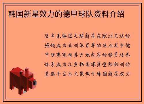 韩国新星效力的德甲球队资料介绍